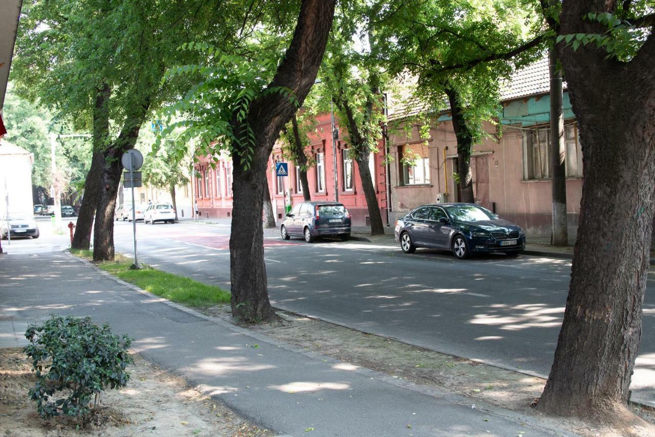Cozy Flat In The Heart Of The City Oradea Bagian luar foto
